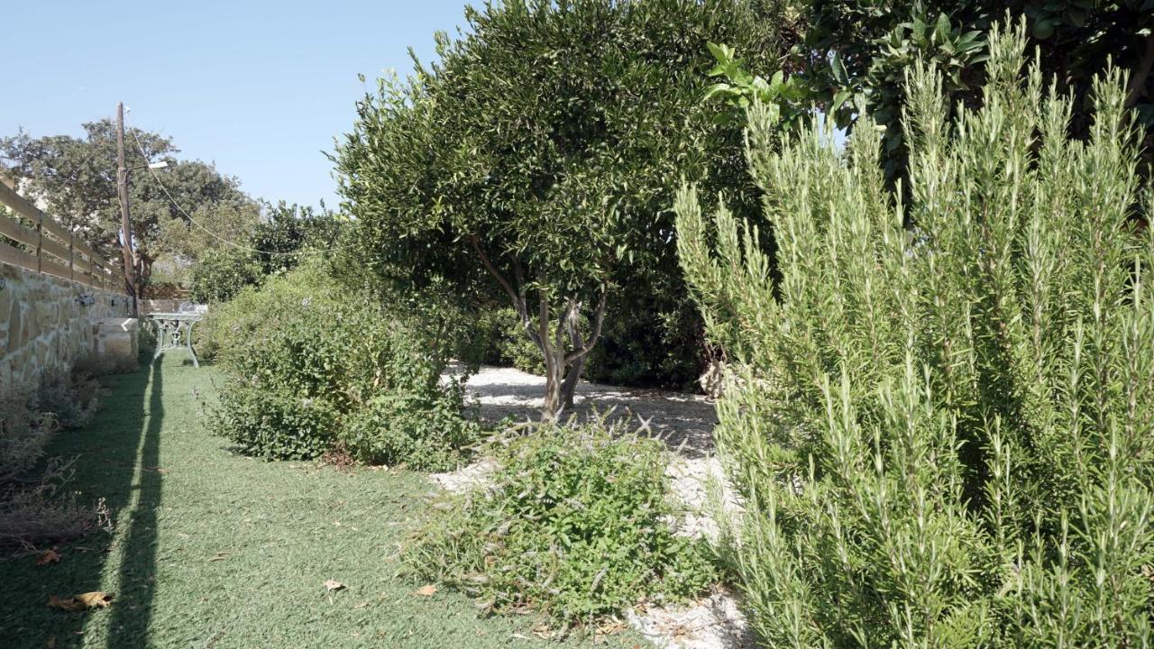 Studio Eleni - Oasis Holiday Houses คอคคิโนส เปียร์โกส ภายนอก รูปภาพ