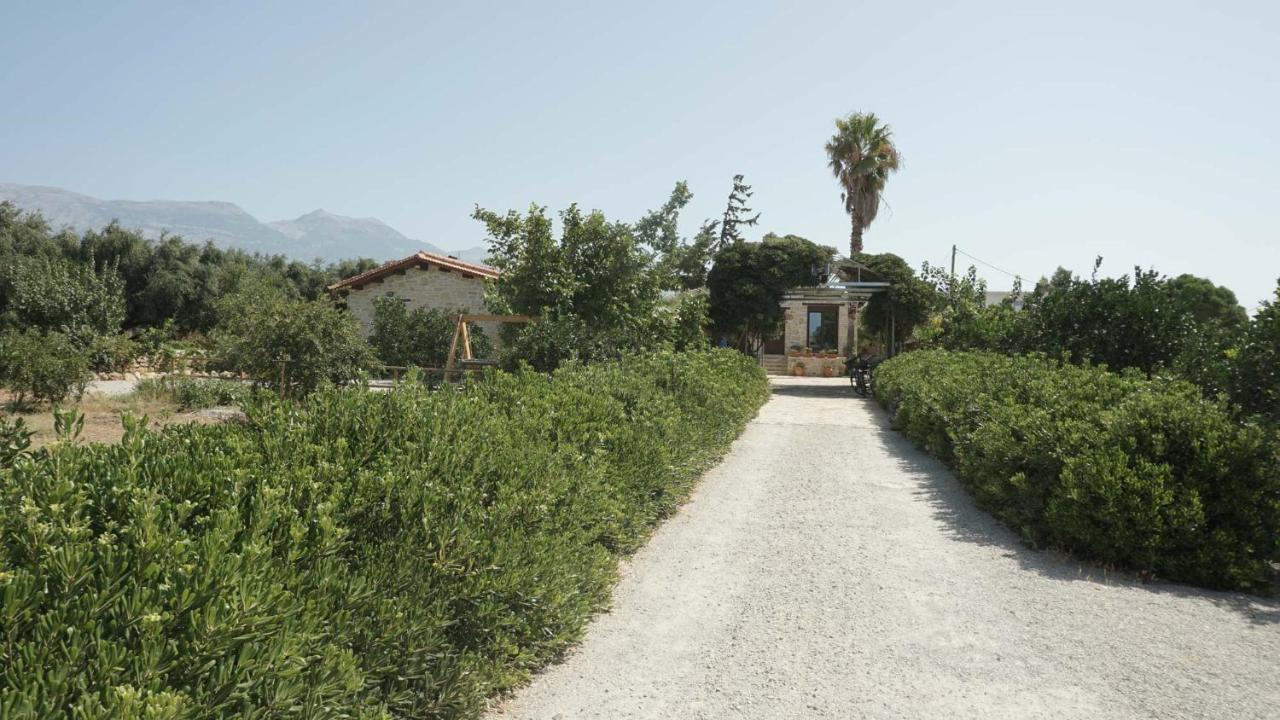 Studio Eleni - Oasis Holiday Houses คอคคิโนส เปียร์โกส ภายนอก รูปภาพ